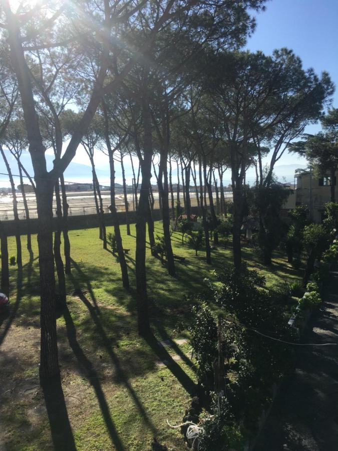B&B Casa Maria Vittoria Torre del Greco Dış mekan fotoğraf