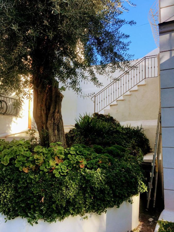 B&B Casa Maria Vittoria Torre del Greco Dış mekan fotoğraf